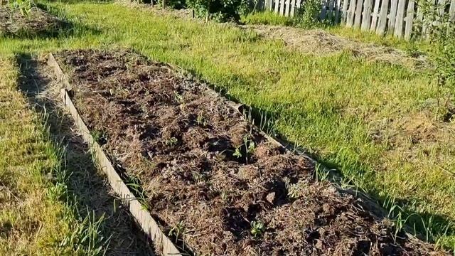 Компостер из "светофора",но главное не о нем... смотреть онлайн