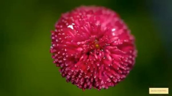 Mantra Vajrasattva 100 Syllable ?(2 hours)Purity & Peace, very beautiful☯ Мантра Ваджрасаттва ?☯☯☯