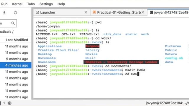 Using the Terminal in JupyterLab смотреть онлайн