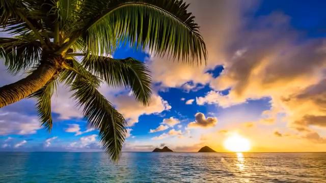 Happy UKULELE Music 10 Hours - Summer Ukulele Instrumental Background Cheerful, Joyful and Upbeat смотреть онлайн