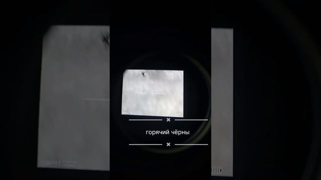 Зайцы окружили Guide TS 450