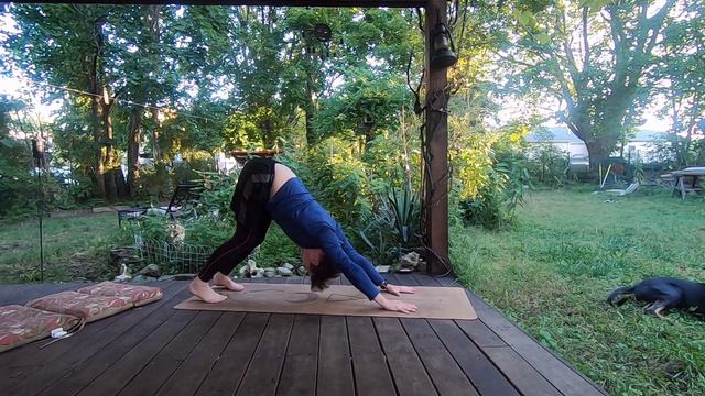 365 days of sun salutations day 257. its a bit cool this morning. смотреть онлайн