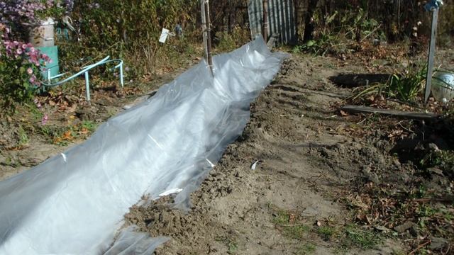 КАК Я УКРЫВАЮ ВИНОГРАД . ВИНОГРАД на Амуре. смотреть онлайн