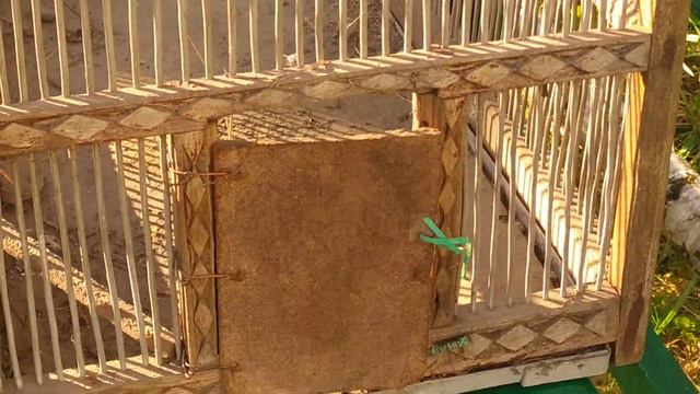 РАДУГА В СЕНТЯБРЕ И СТАРИННЫЕ ВЕЩИ смотреть онлайн