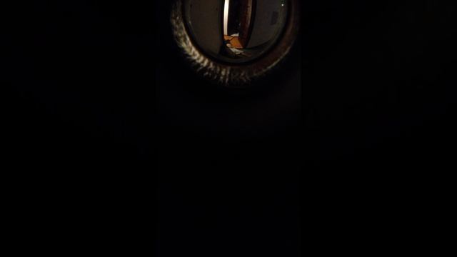 подглядываем в глазок из номера ночью, пьяные соседи часть 1 смотреть онлайн