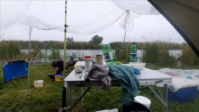 Дождливое открытие летнего сезона на р. Аксай. Созаньи уловистые места. Секретная наживка на сазана смотреть онлайн