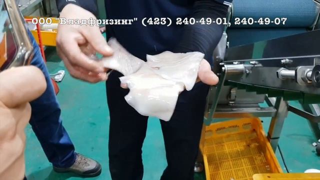 Установка удаления плавников кальмара CHSWC-1 (ООО 