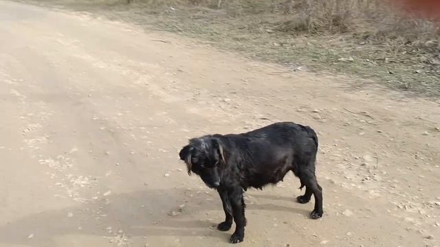 Кормление ..беременная "женщина " должна кушать все подряд смотреть онлайн