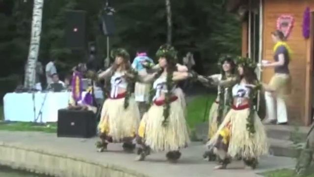 Гавайская вечеринка профессионально смотреть онлайн