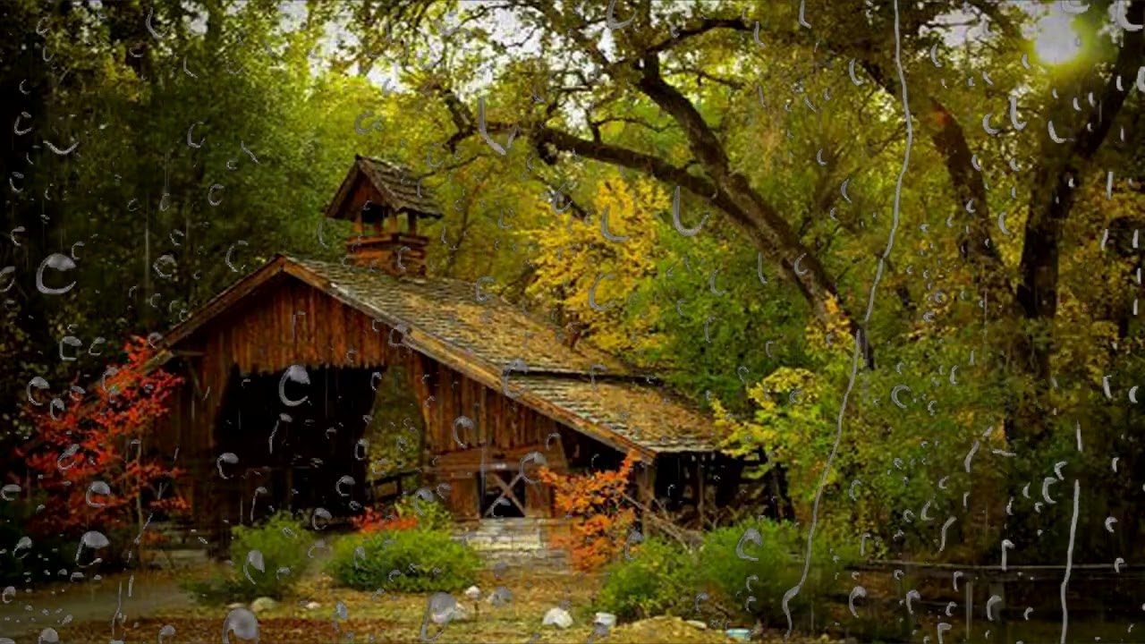 Успокаивающий ливень с громом в темной хижине — погрузитесь в глубокий сон и помедитируйте смотреть онлайн