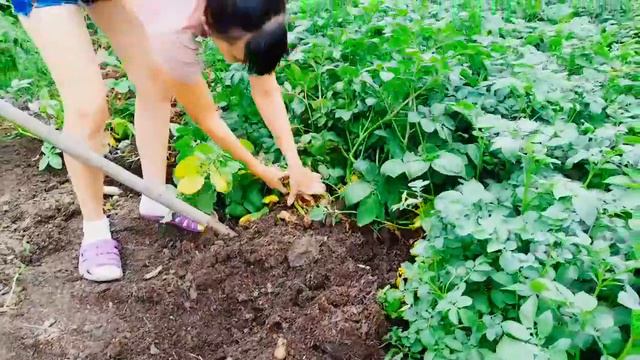 Многодетная Семья с Урала /Наши Будни Многодетной семьи /Покупочки /Деревенская жизнь / картошечка смотреть онлайн