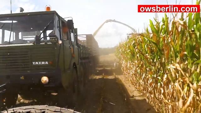 Уборка Кукурузы с ТАТРА 813 смотреть онлайн
