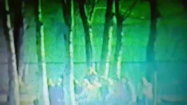 Школа #23 г. Рыбинск 9а класс, 1981 год смотреть онлайн