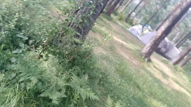 Прогулка. Река Катунь. Горный Алтай. Кемпинг . 23.07.2019 смотреть онлайн