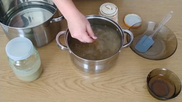 Цирковые Представления и Шоу