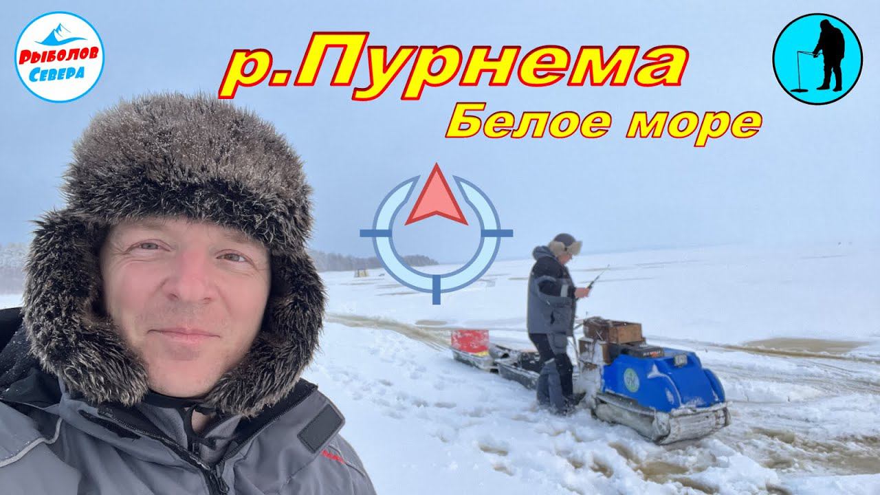 ✅ Пурнема. Белое море. Декабрь 2022 #рыболов_севера смотреть онлайн