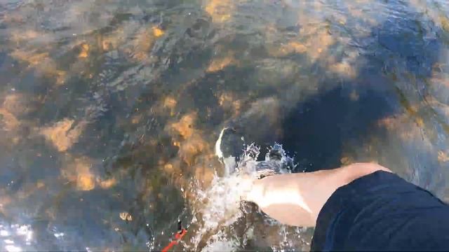 Super Jet through the shallows смотреть онлайн