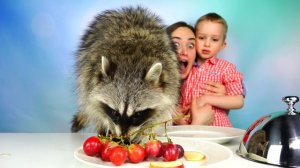 Обычная Еда против Мармелада Челлендж!