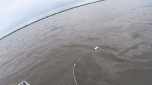 Рыбалка сетями на реке Печора. Ловля рыбы на крайнем севере. Fishing.