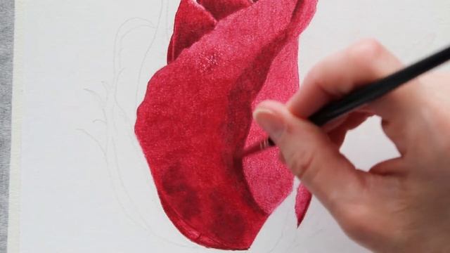 Red Rosebud YouTube Patreon 15 minute Preview Video смотреть онлайн