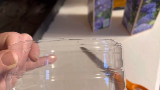 FREE plant containers for your seedlings, bulbs, and vines! смотреть онлайн