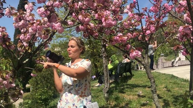Места для фотосессии в Сочи. Парк Дендрарий смотреть онлайн