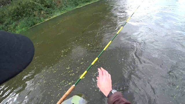 Как сибиряк язей ловил в Подмосковье /Дикие / смотреть онлайн