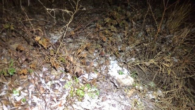 НОЧНЫЕ ДОНКИ на ОКЕ / МОРОЗЫ ПРИШЛИ / ВОДА УХОДИТ смотреть онлайн