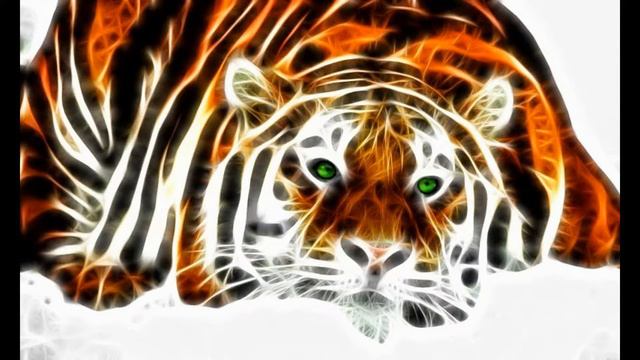My Best (Pets & Animals) Wallpapers [1080p] HD смотреть онлайн