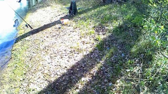 обь начало июня 2018 смотреть онлайн