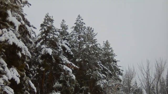 Russian village and folk song. First snow on the Ckristmas?️❄️☃️❄️ смотреть онлайн