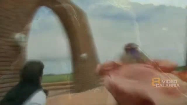 Antonella / Антонелла (Антонелла и Николас). Мы вдвоём. 6.03.17.