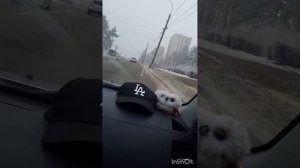 Экзаменационный маршрут ГИБДД Воронеж  экзамен гаи холмистая 1 часть. инструктор по вождению