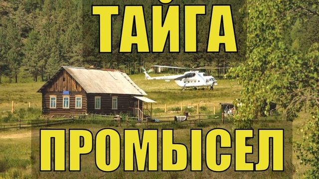 РАССКАЗЫ БЫВАЛЫХ ЖИЗНЬ В ТАЙГЕ ПРОМЫСЕЛ ХОЗЯИН в ТАЙГЕ ОХОТА на ГУСЯ СУДЬБА ИСТОРИИ из ЖИЗНИ в ЛЕСУ смотреть онлайн