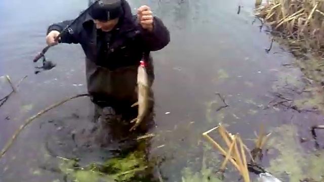 Щука на колокольчик смотреть онлайн