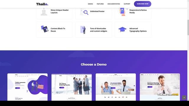 Thallo Consulting and Finance WordPress Theme management company business consulting wordpress Ain смотреть онлайн