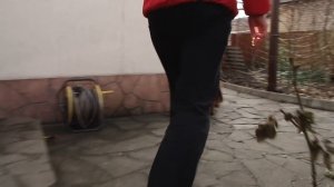 НЕМЕЦКАЯ ОВЧАРКА в частном доме: вольер, будка, уход, содержание, питание, миски, выгул