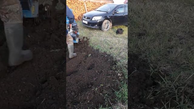 Мотоблок Нева с культиватром, чудо агрегад смотреть онлайн
