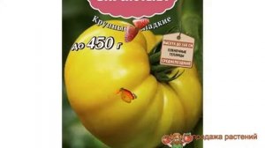 Томат обыкновенный Бизон желтый (bizon-zheltyy) ? обзор: как сажать, семена томата Бизон желтый