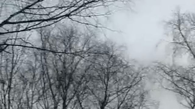Цвет небесный смотреть онлайн