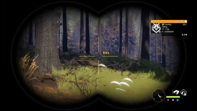 Was this lobby STACKED or HACKED? ? theHunter: Call of the Wild! Yukon Valley All Diamonds! смотреть онлайн