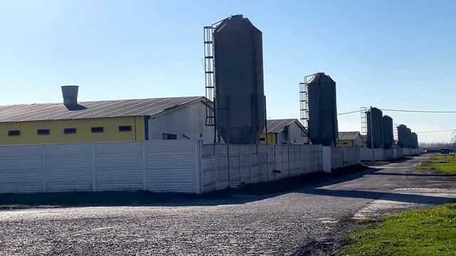 ВЕСТНИК ПРОМАГРО Компания «Сибагро» приобрела свинокомплекс «Щигры главпродукт» смотреть онлайн