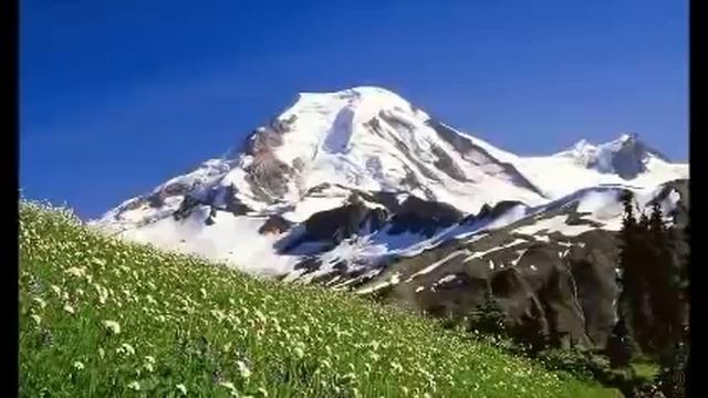 Polka Oberkrainer Oktoberfest Tiroler Harmonika Accordeon Alpen Volksmusik 3 смотреть онлайн