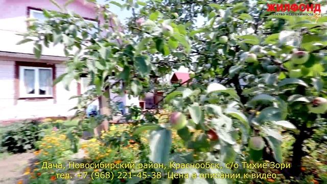 Дача, Новосибирский район, Краснообск, с/о Тихие Зори. Агентство недвижимости ЖИЛФОНД Новосибирск смотреть онлайн