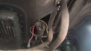 Снятие двигателя ЗАЗ 968А