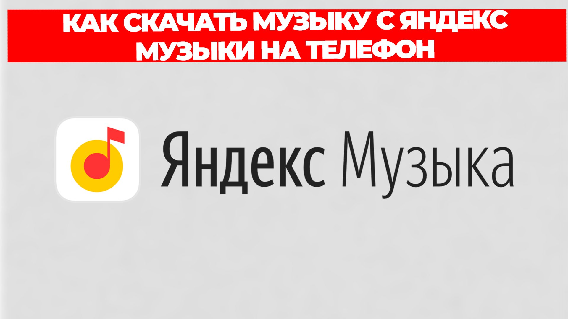 Всезнающий Енот