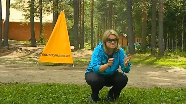 щенок начало дрессировки смотреть онлайн
