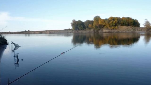 Сазан на донку с берега реки. смотреть онлайн