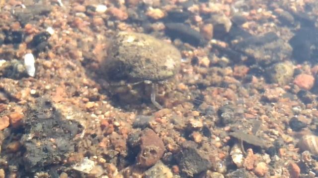 Владивосток. Русский остров. Ч 3. Заключительная. Еще те Мирные времена . смотреть онлайн