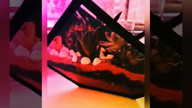 DIY флорариум своими руками из оргстекла. Оттенки фуксии. смотреть онлайн